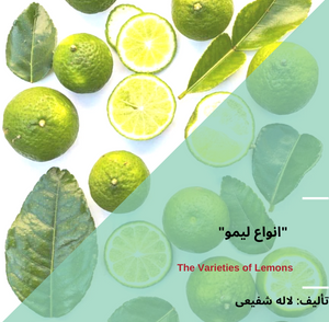 شناخت انواع لیمو