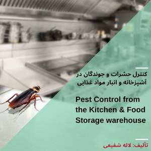 کنترل حشرات و جوندگان در آشپزخانه و انبار مواد غذایی