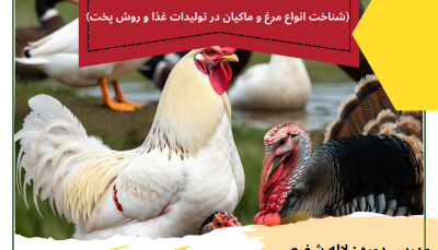 عنوان دوره : مدیریت علمی تولید غذا (شناخت انواع مرغ و ماکیان در تولیدات غذا و روش پخت)